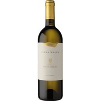 Pinot Grigio Castel Ringberg Südtiroler DOC - Elena Walch
