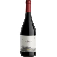 Otronia 45 Rugientes Pinor Noir