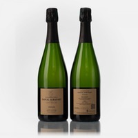 Avizoise Extra Brut Blanc de Blancs Grand Cru
