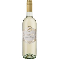 Leon d'Oro Pinot Grigio, Delle Venezie DOC, Venetien, 2024, Weißwein