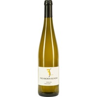 Riesling trocken - Weingut Fischborn-Schenk