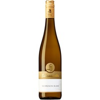 Sauvignon Blanc trocken - Weingut Eulenmühle