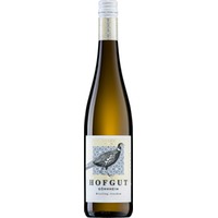 Hofgut Gönnheim Riesling trocken Bio - Hofgut Gönnheim
