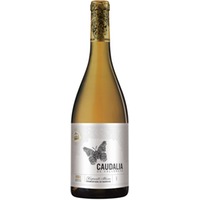 Caudalia de Vallobera Rioja DOCa trocken - Bodegas Vallobera