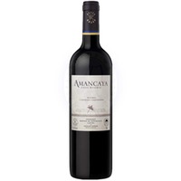 Amancaya Mendoza Caro