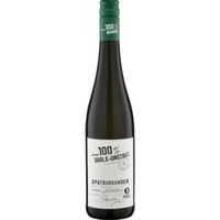 Für mich 100% Saale-Unstrut Spätburgunder, Trocken, Saale-Unstrut, Saale-Unstrut, 2023, Weißwein