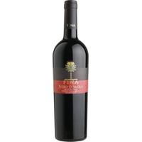 Nero D Avola Sicilia DOC