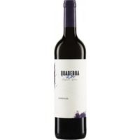 Bodegas y Vinedos Quaderna Via ESPECIAL - 6Fl. á 0,75l