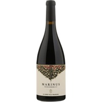 Marinus Rosso Piceno Superiore DOC trocken - Il Conte Villa Prandone