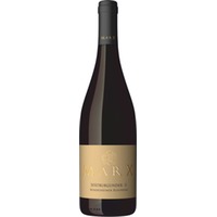 Spätburgunder "S" trocken - Weingut Marx