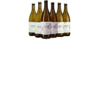 Sammlerbox: Kombucha Kombu Viva Alkoholfrei (best bef. 03/2027) Flaschengärung