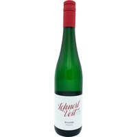 Blanc de Blanc trocken - Weingut Lehnert-Veit