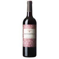 Torremilanos Montecastrillo