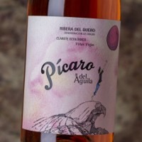 Pícaro del Águila Clarete