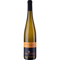 Oberemmeler Grauschiefer Riesling trocken - Weingut Agritiushof