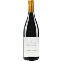Weingut Wieninger Pinot Noir Select