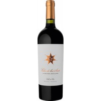 Clos de los Siete by Michel Rolland