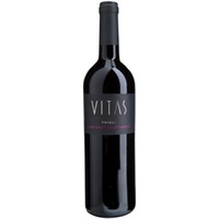 Cabernet Sauvignon Friuli DOC trocken - Villa Vitas