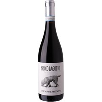 Bricco Lagotto: Barbera Passito DOC