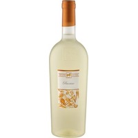Tenuta Ulisse Pecorino Premium – Abruzzen, strukturiert
