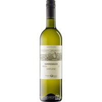 Sommerrain Grüner Veltliner Spätlese - Winzer Krems (6 Flaschen)