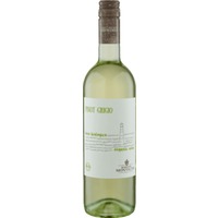 Pinot Grigio Bio Terre Siciliane IGP - Barone Montalto