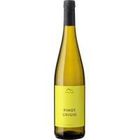 Pinot Grigio DOC - Erste+Neue