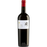 Nero d'Avola Terre Siciliane IGT - Palazzo Malgara