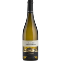 Friulano Collio DOC - Conventi