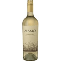 Torrontes Salta - Alamos