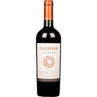 Tributo Cabernet Sauvignon Colchagua Valley DO - Caliterra