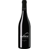 SALICE Salentino DOP - Varvaglione