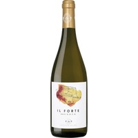 Il Forte Gavi DOCG - Produttori del Gavi