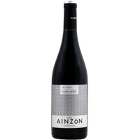 Crianza Campo de Borja DO - Vina Ainzon