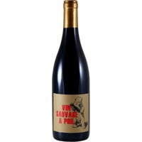 Vin Sauvage à Poil - Chateau de la Terriére