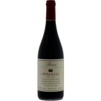 Rosso Piceno Pongelli - Villa Bucci