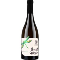 Pinot Grigio - Lazar Winery