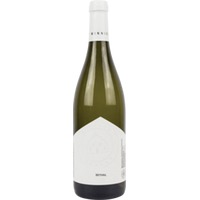 Seyval Blanc - Winnica Turnau