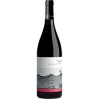 Ngilu Colline di Levanto Rosso - Ca' du Ferra