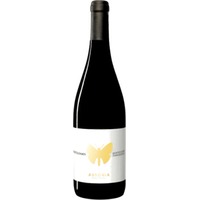 Nostradamus Montepulciano d'Abruzzo Colline Teramane DOCG - Ausonia