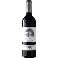 Pinot Nero Collina Zinzéle IGT - Longariva