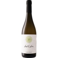 Bianco Vient E Voria - Antica Masseria Venditti