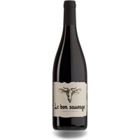 Domaine Boucabeille Le Bon Sauvage SSA