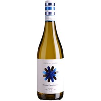 Cantina Frentana: Abruzzo Passerina DOC Costa del Mulino
