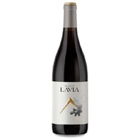 Lavia Valles de Lavia Valle del Aceniche