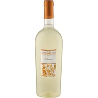 Ulisse Pecorino Premium