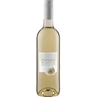 Pinot Grigio Valdadige DOC - Cantina Valdadige