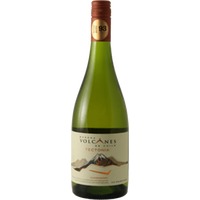 Tectonia Chardonnay - Bodega Volcanes
