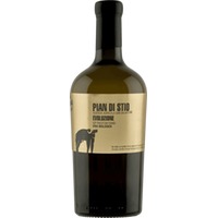 San Salvatore Pian Di Stio Evoluzione Fiano 0.75 L Flasche