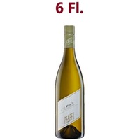 Wien.1 6er Paket - Pfaffl